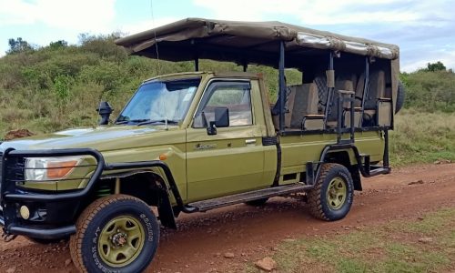 Open-Sided-Land-Cruiser-Safari-for-Hire-in-Masai-Mara Open-Sided-Land-Cruiser-Safari-for-Hire-in-Masai-Mara