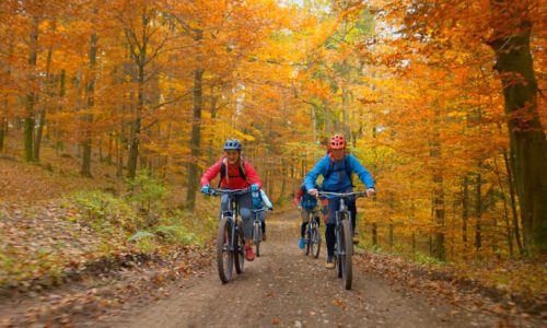 fall-bike-tours-where-to-go-and-what-to-know-1080×675 fall-bike-tours-where-to-go-and-what-to-know-1080x675